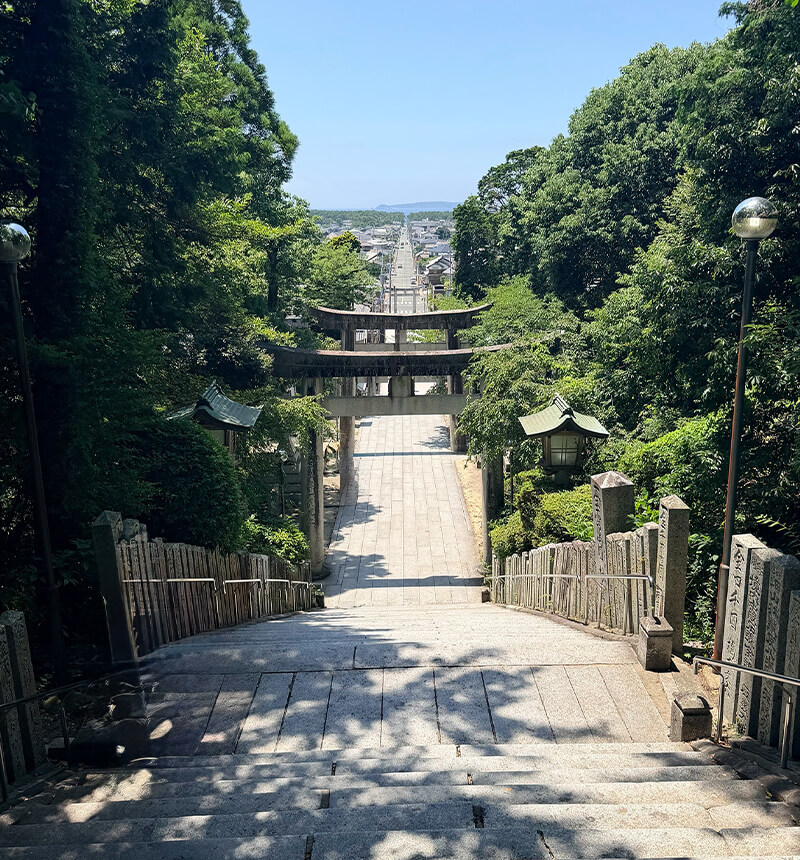 宮地嶽神社 光の道